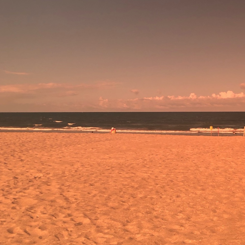 Meet your Posher, Lily